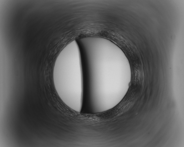 X0000098161250200804171210