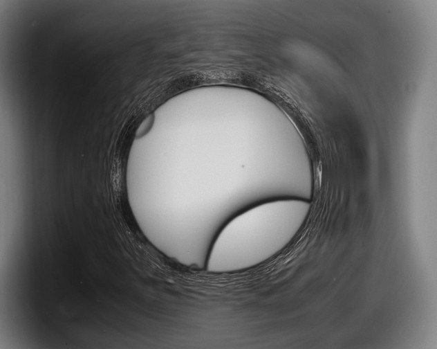 X0000098161251200804171210