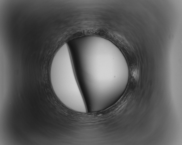 X0000098161252200804171210