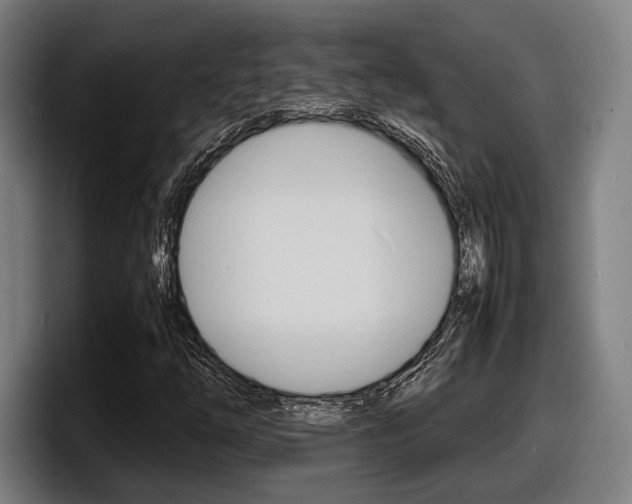 X0000098161254200804171210