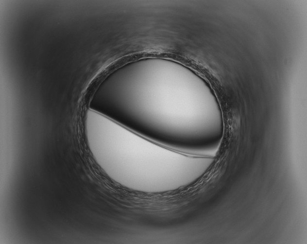 X0000098161256200804171210