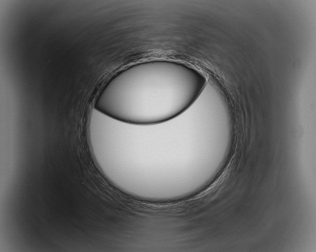 X0000098161257200804171210