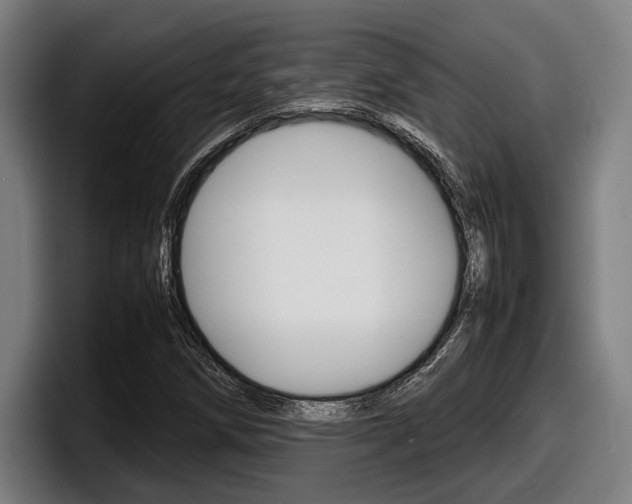 X0000098161258200804171210