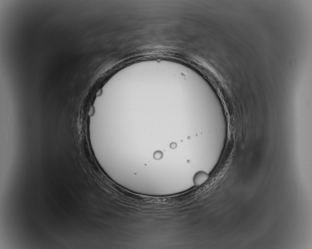 X0000098161259200804171210