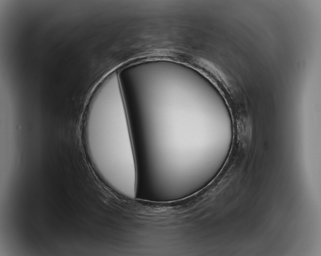 X0000098161260200804171210