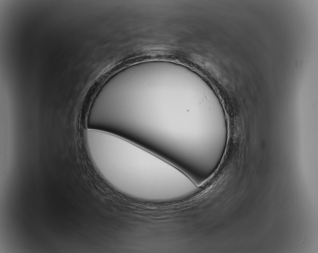 X0000098161261200804171210