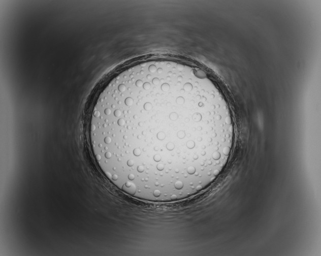 X0000098161263200804171210