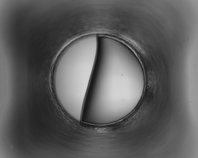 X0000098161264200804171210