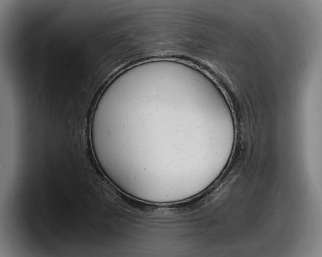 X0000098161265200804171210