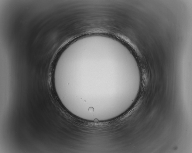 X0000098161266200804171210