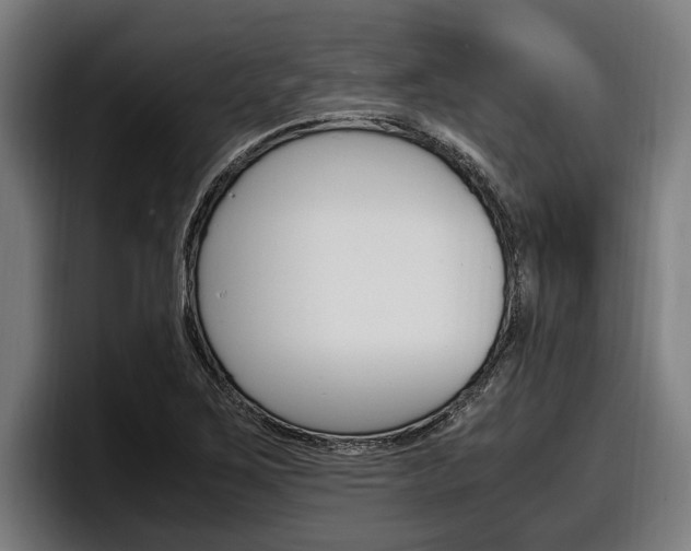 X0000098161267200804171210