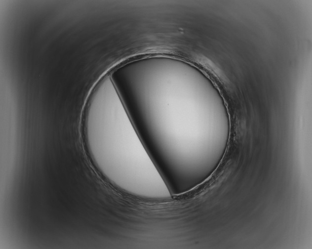X0000098161268200804171210