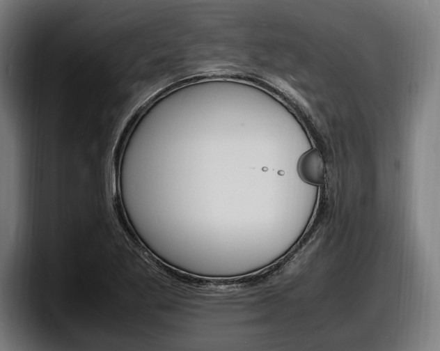 X0000098161269200804171210