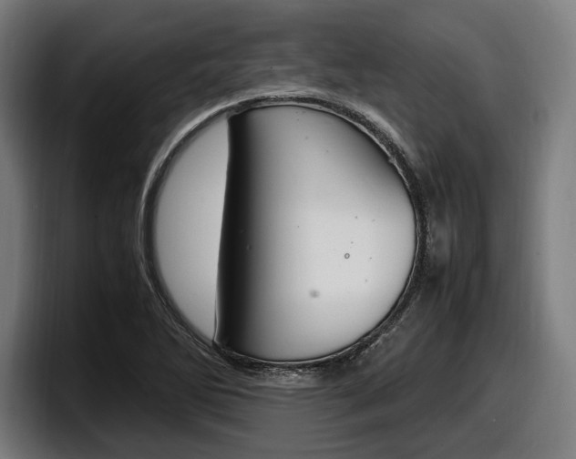 X0000098161270200804171210