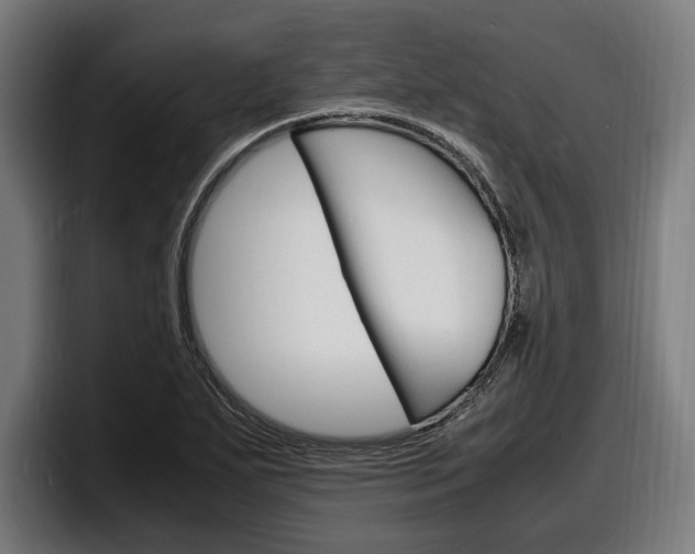 X0000098161271200804171210