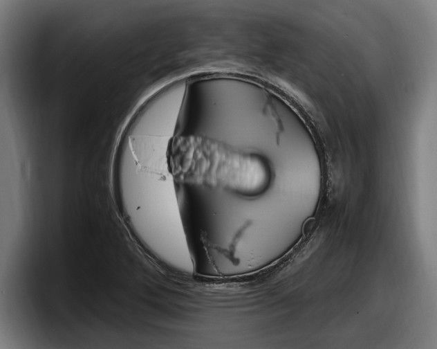 X0000098161272200804171210