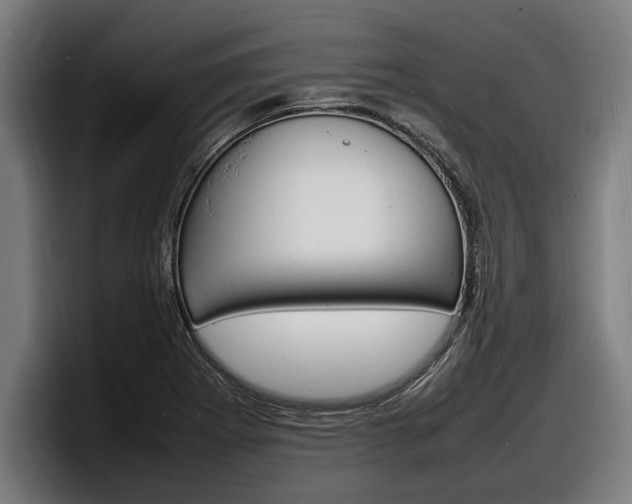 X0000098161273200804171210