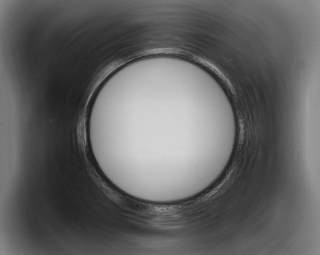 X0000098161274200804171210