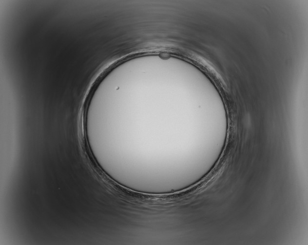 X0000098161275200804171210