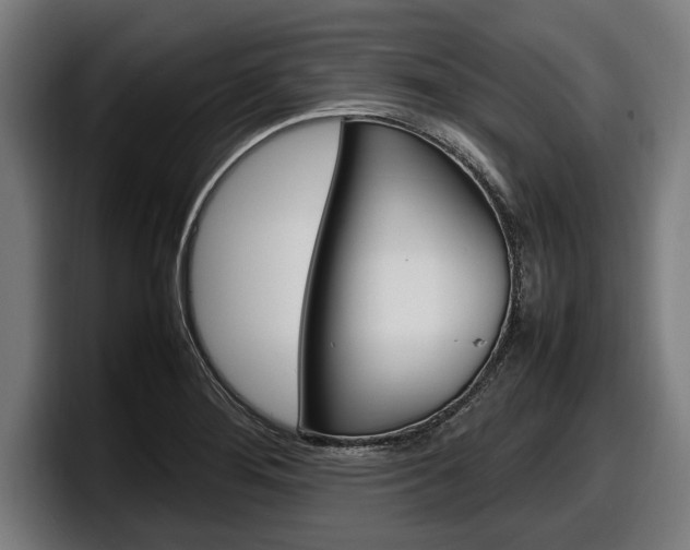 X0000098161276200804171210