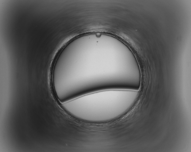 X0000098161277200804171210