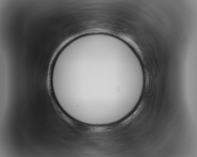 X0000098161278200804171210