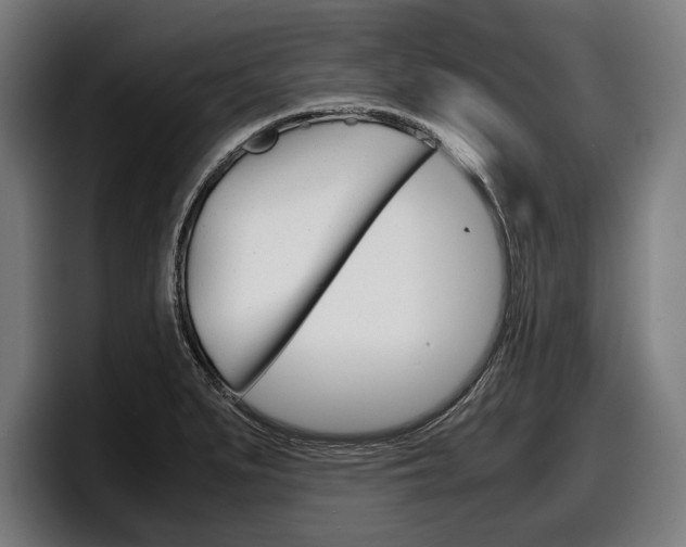 X0000098161279200804171210