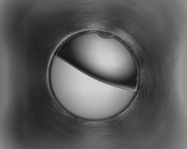 X0000098161280200804171210