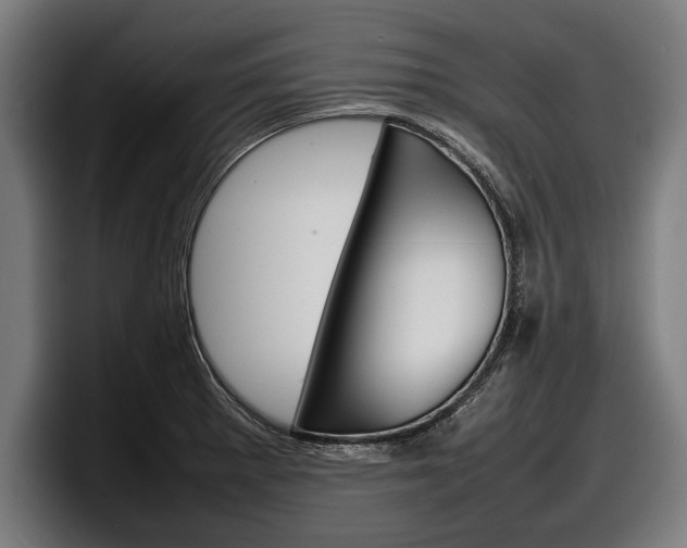 X0000098161281200804171210