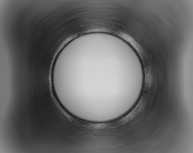 X0000098161282200804171210
