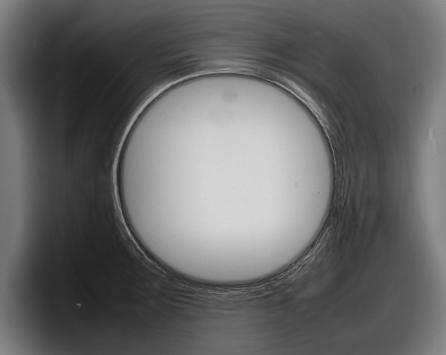 X0000098161283200804171210