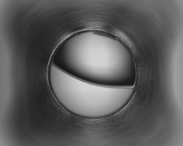 X0000098161284200804171210