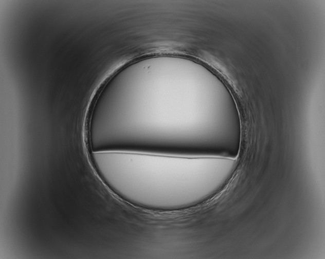 X0000098161285200804171210