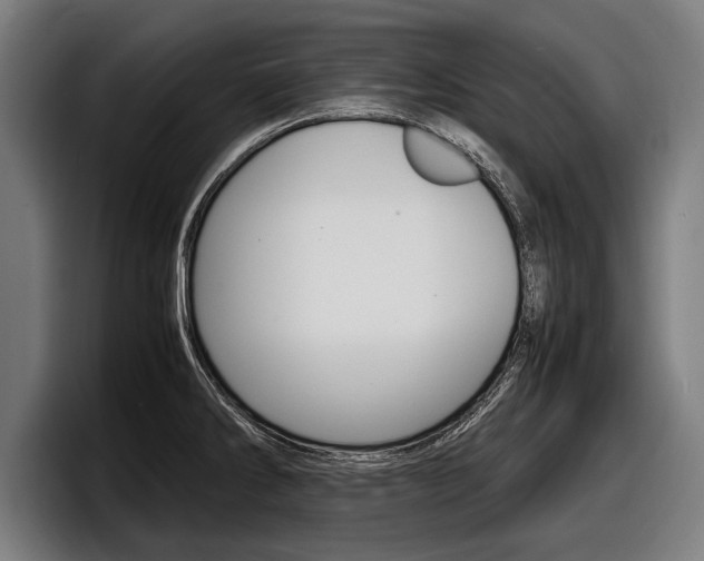 X0000098161286200804171210