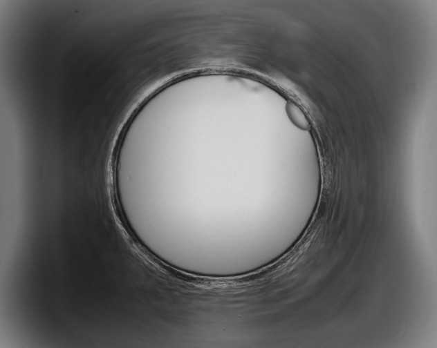 X0000098161287200804171210