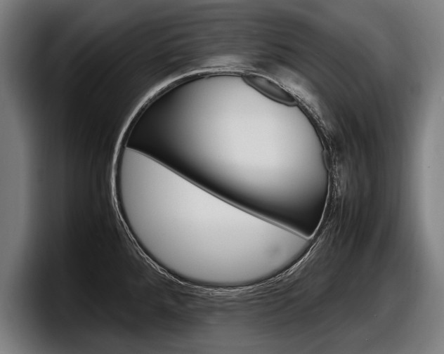 X0000098161288200804171210