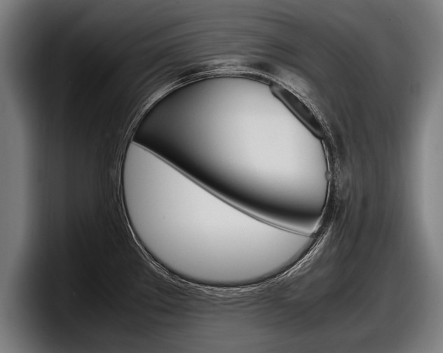 X0000098161289200804171210