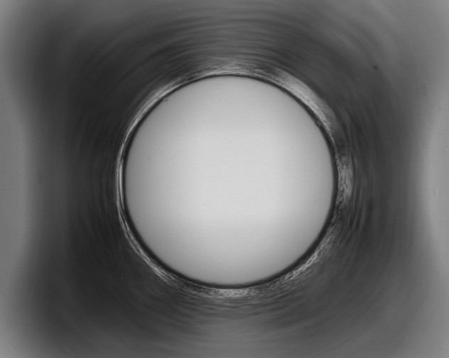 X0000098161290200804171210