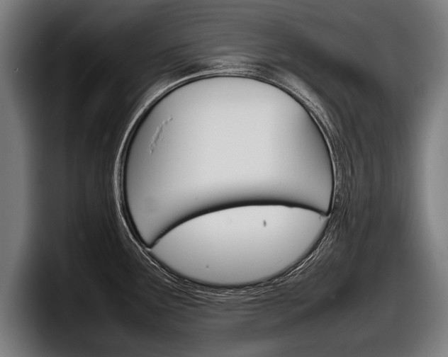 X0000098161291200804171210