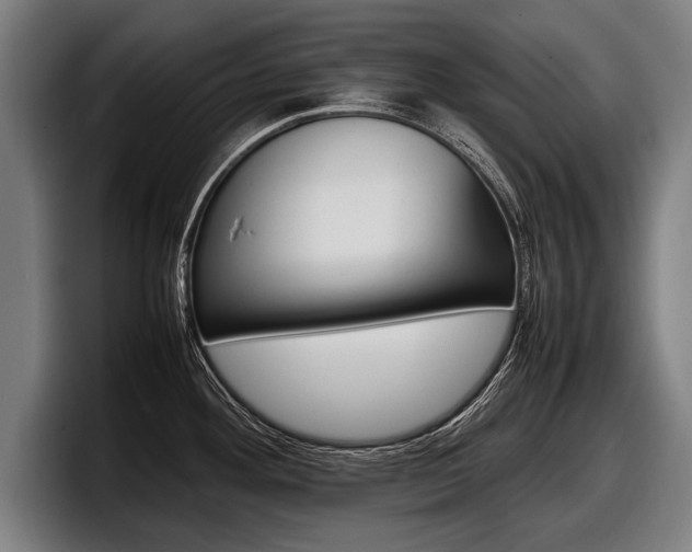 X0000098161292200804171210