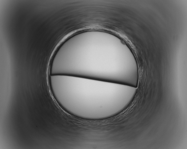 X0000098161295200804171209