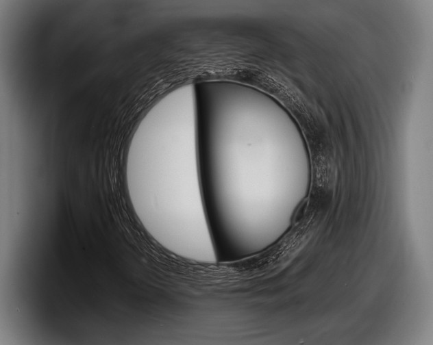 X0000098161298200804171209