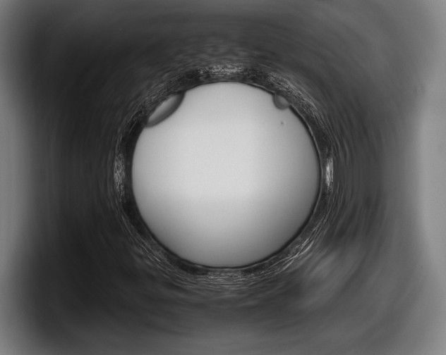 X0000098161299200804171209