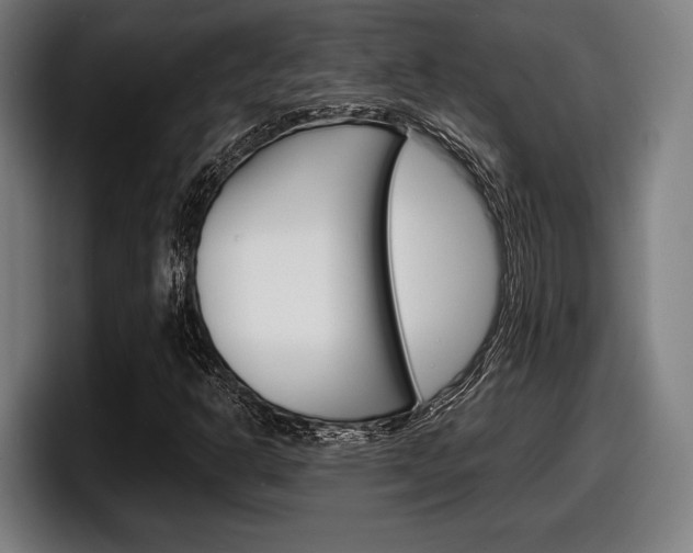 X0000098161302200804171209
