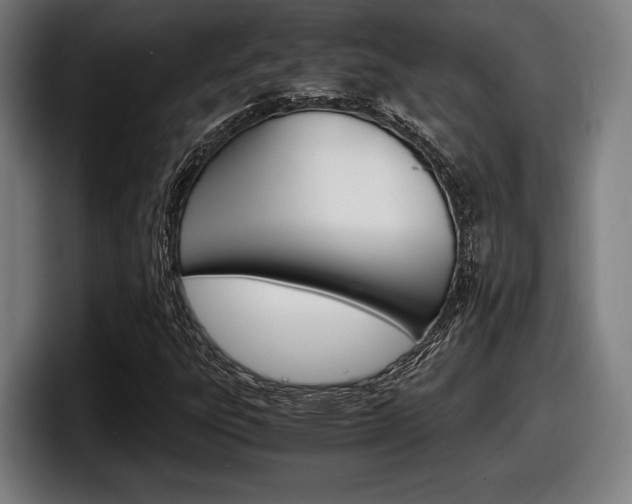 X0000098161303200804171209