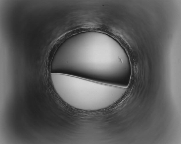 X0000098161304200804171209