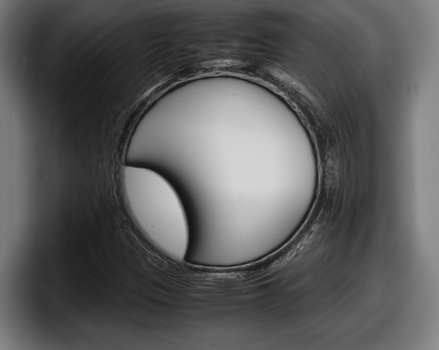 X0000098161305200804171209