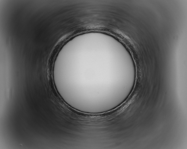 X0000098161306200804171209