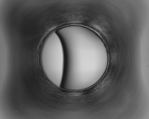 X0000098161307200804171209