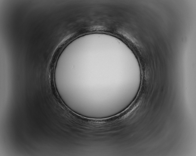 X0000098161309200804171209